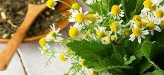 Poznam Mężczyznę :)