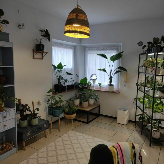 Dom jako inwestycja (najem z lokali może pokryć zaciągnięty