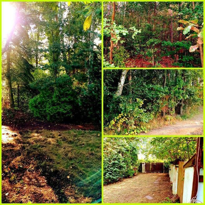 DWA DOMY MIESZKALNE WIES LAS KLIMAT CAŁOROCZNE.