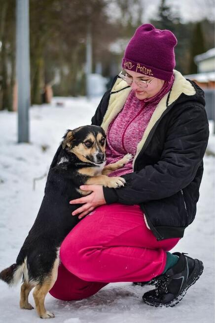 Wituś-niewielki, niskopodłogowy psiak do adopcji