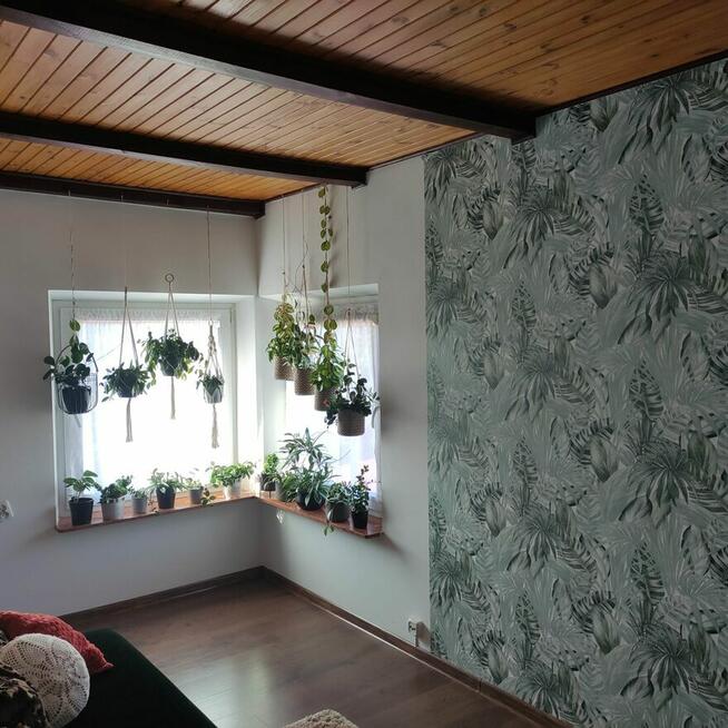 Dom jako inwestycja (najem z lokali może pokryć zaciągnięty