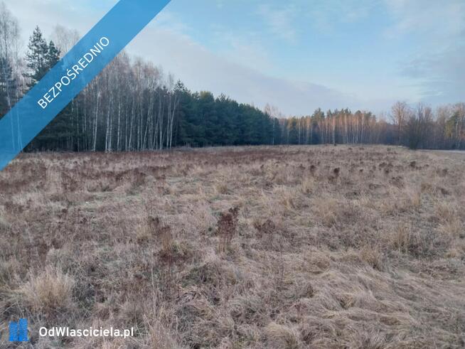 Grunt Rolny na sprzedaż Marysin gm. Kałuszyn