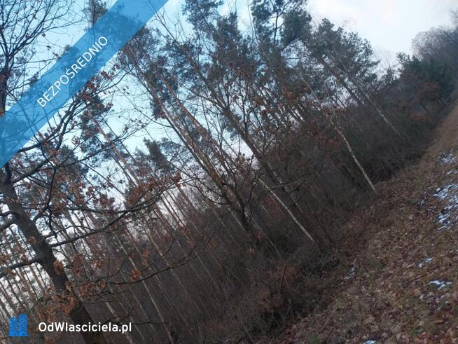 Grunt Rolny na sprzedaż Marysin gm. Kałuszyn