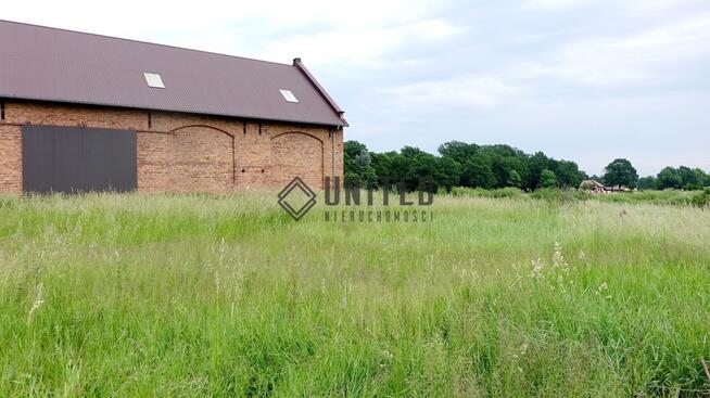 Działka w Prężycach niedaleko Wilkszyna