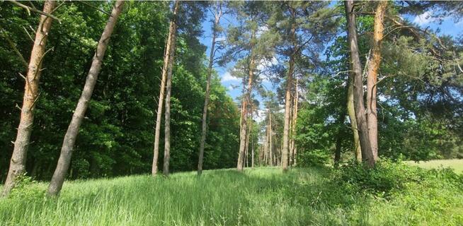 Działka budowlana Zębice gm. Siechnice, Parkowa