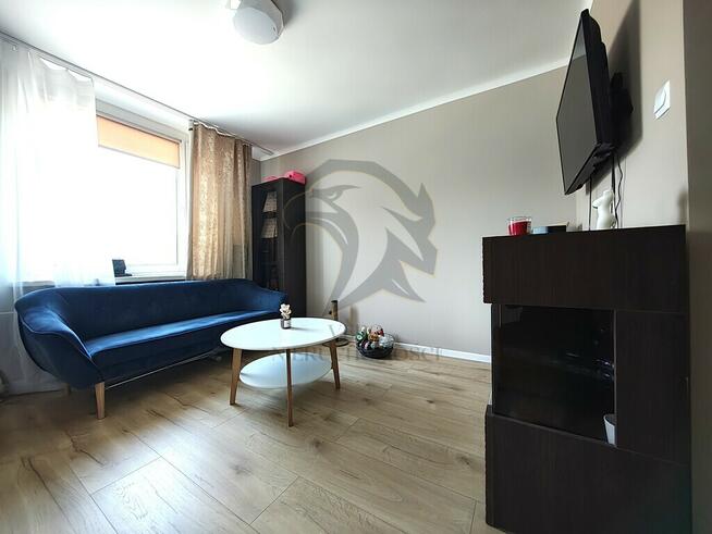 Bo Małe dużo może