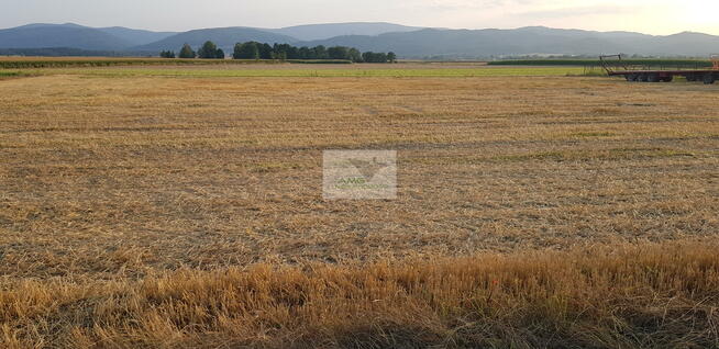 Działka rolno-budowlana Bratoszów gm. Pieszyce, Bratoszów