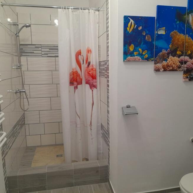 Dom nad morzem z 6-ma apartamentami + squash, Kołobrzeg