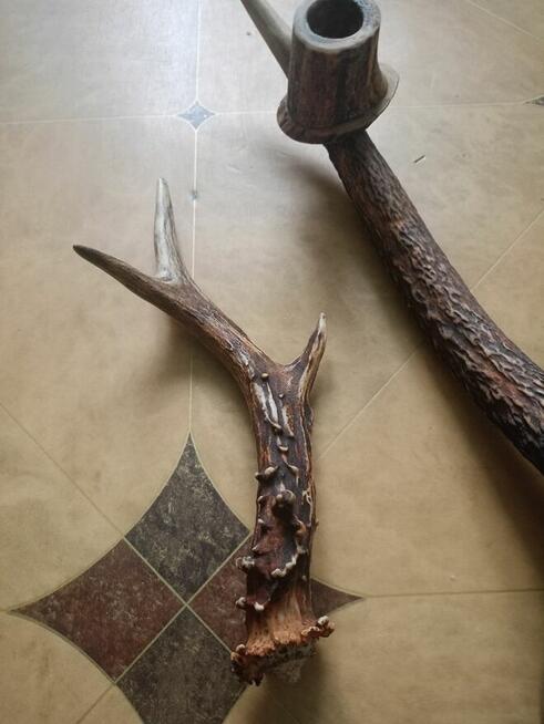 Świecznik z poroża