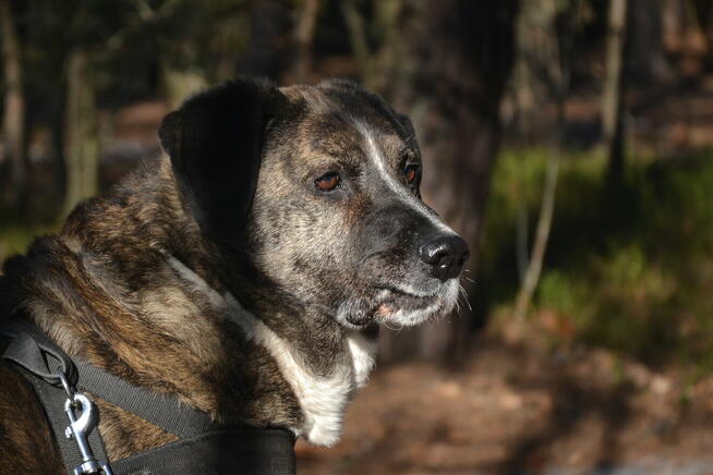 Borys i Diego hotelowi goście, którzy szukają nowego kochają