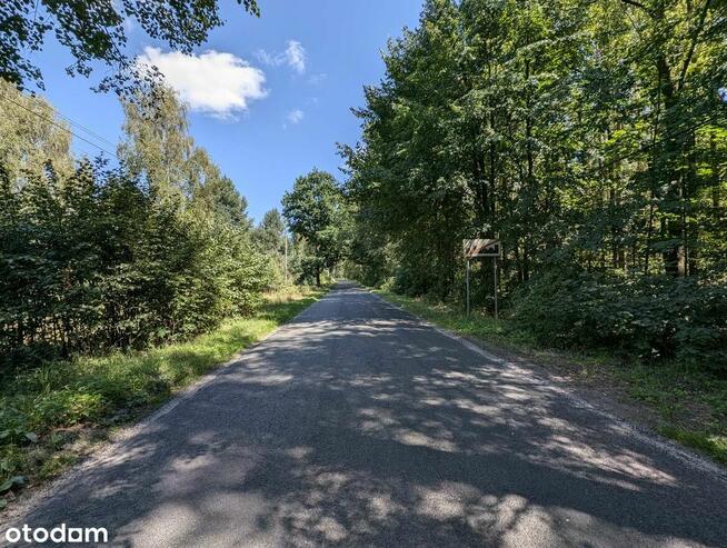 Działka zalesiona 8236m z mediami.