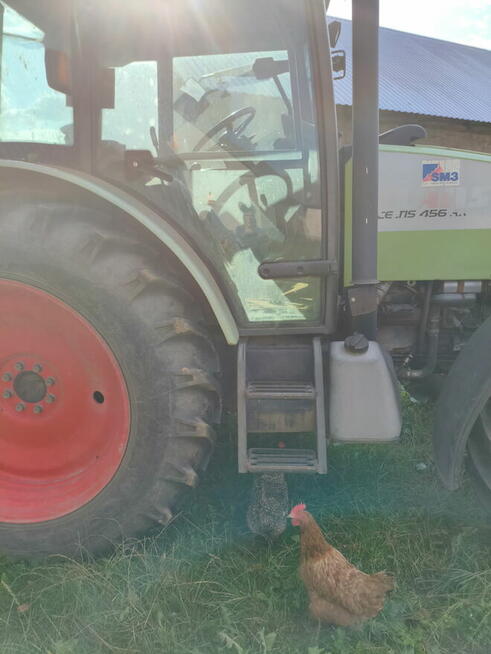 sprzedam ciegnik stan teczniczny bardzo dobry garazowany