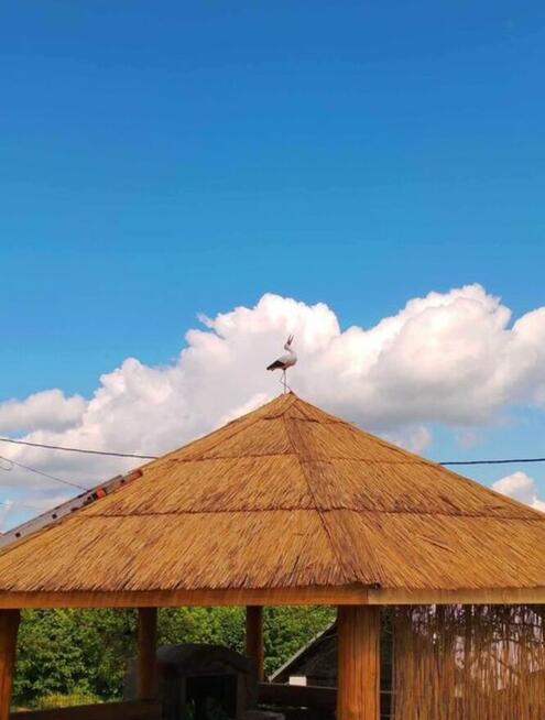 Nowy piękny dom z widokiem na góry, sauna, kominek,bania