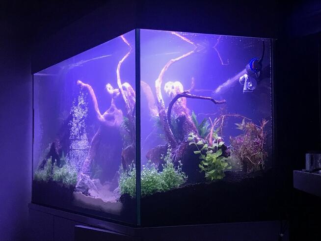 Akwarium 200 litrów + szafka, pokrywa biały lakier, osprzęt