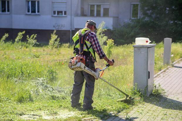 Zatrudnię osobę do koszenia, grabienia