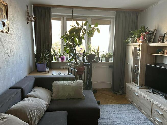 2 pokoje 43,66 m² | Balkon | Pełne wyposażenie Wyszków