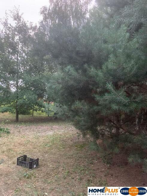 Serock, kształtna działka budowlana 600 m od Narwi