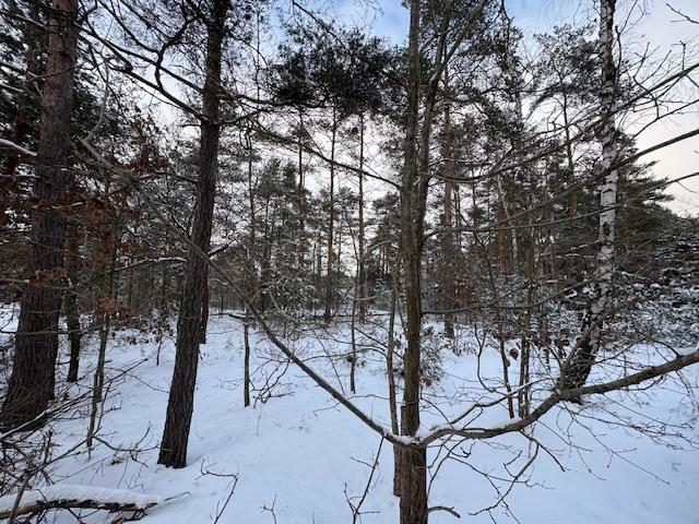 Działka budowlana Warszawa Wesoła, Zielona