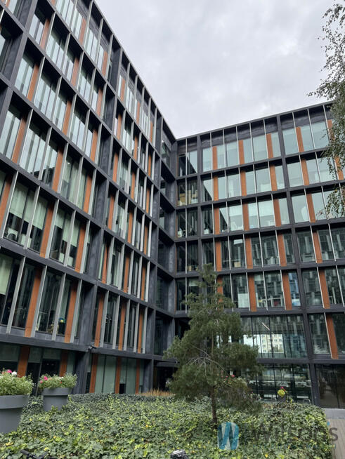 Lokal użytkowy Warszawa gm. Mokotów Mokotów, Domaniewska