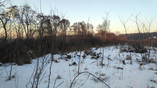 Działka usługowa Brochów,