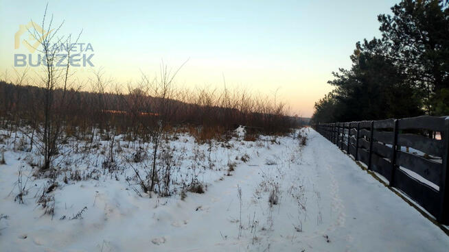 Działka usługowa Brochów,