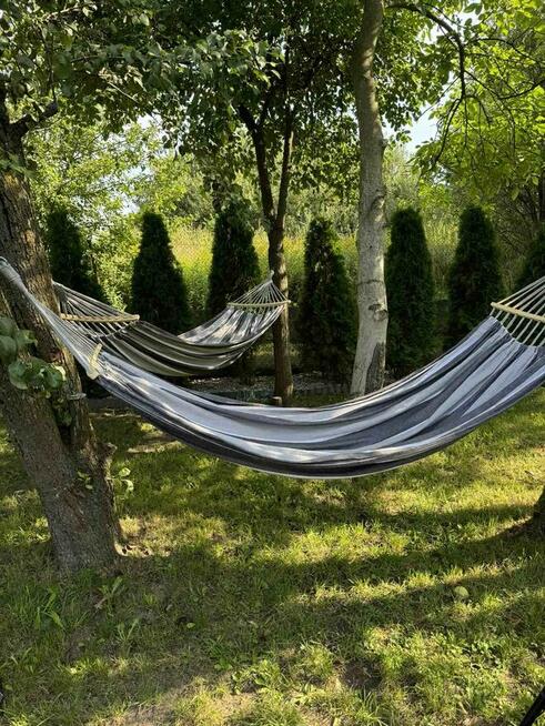 Działka ROD „Wrzos” - domek murowany, altana, drzewa owocowe