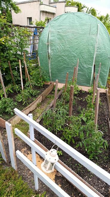 Ogródek działkowy ROD Chabry Opole