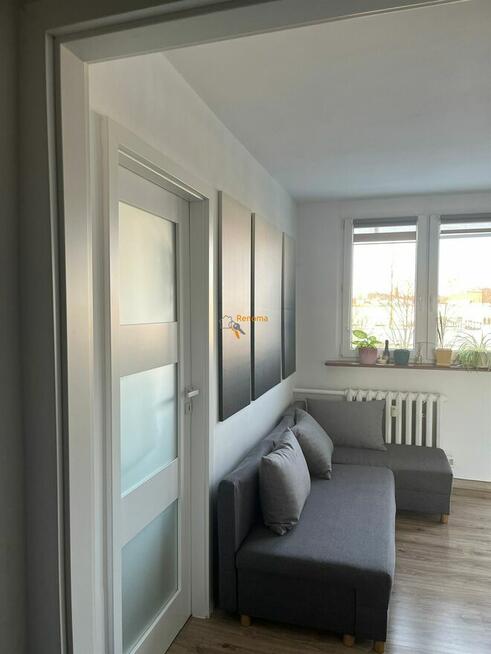 MIESZKANIE 2 POKOJOWE DO WYNAJĘCIA NA UL. MORELOWEJ