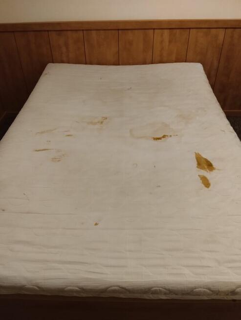 Pranie mebli tapicerowanych