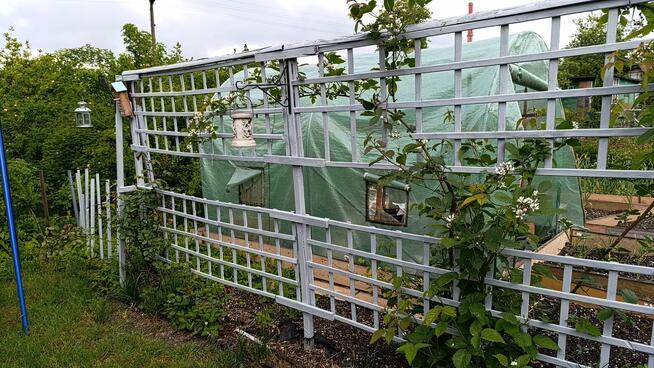 Ogródek działkowy ROD Chabry Opole