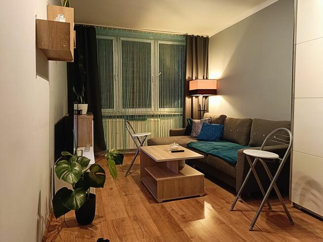 Wynajmę piękne mieszkanie, bezpośrednio od właściciela