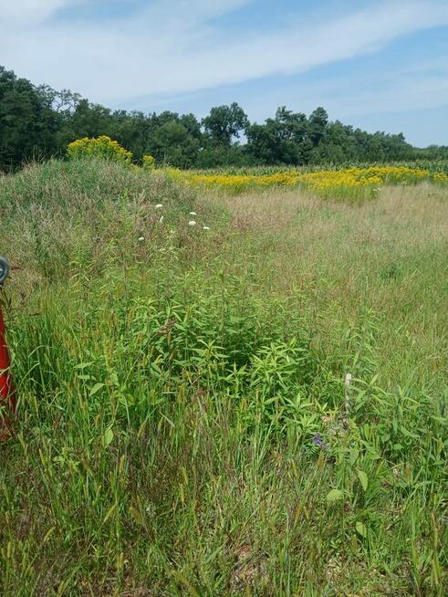 Działka pod budowę domu jednorodzinnego/domu w zabudowie bli