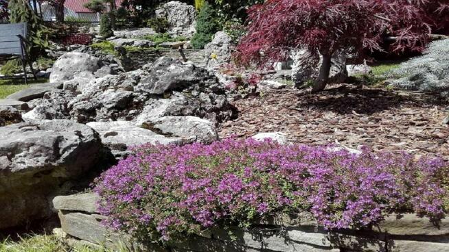 OGRODNIK Ustroń Wisła , usługi ogrodnicze , TUJE