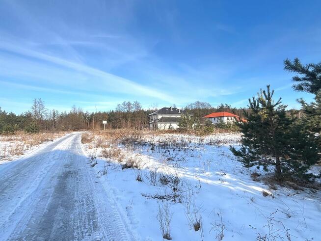 Urokliwa działka 1600 mkw, blisko lasu, Krobia