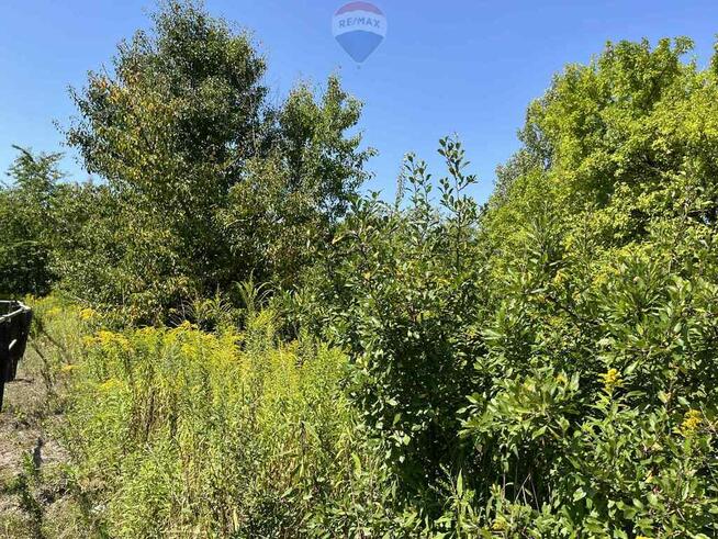 Działka (jeszcze) rolna przy rezerwacie