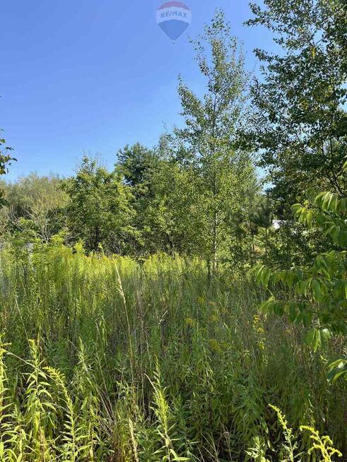 Działka (jeszcze) rolna przy rezerwacie