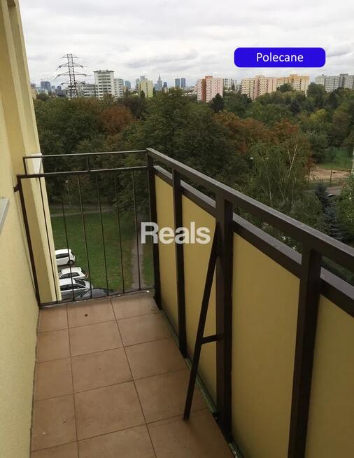 Gotowe do wprowadzenia. Przy Parku