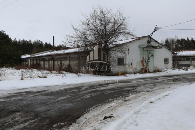 Lokal użytkowy Wysoka Głogowska gm. Głogów Małopolski,