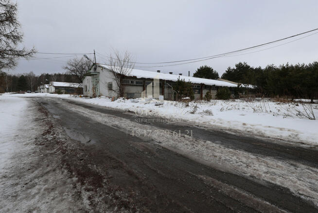 Lokal użytkowy Wysoka Głogowska gm. Głogów Małopolski,