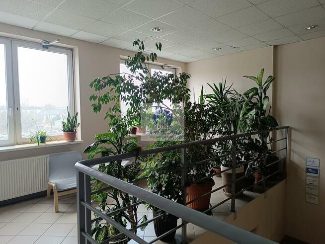 Lokal użytkowy Warszawa Praga-Północ, rondo Stefana Starzyńskiego