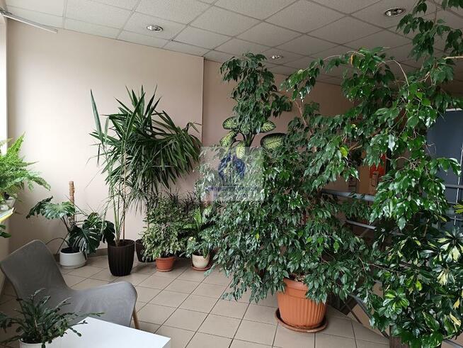 Lokal użytkowy Warszawa Praga-Północ, rondo Stefana Starzyńskiego