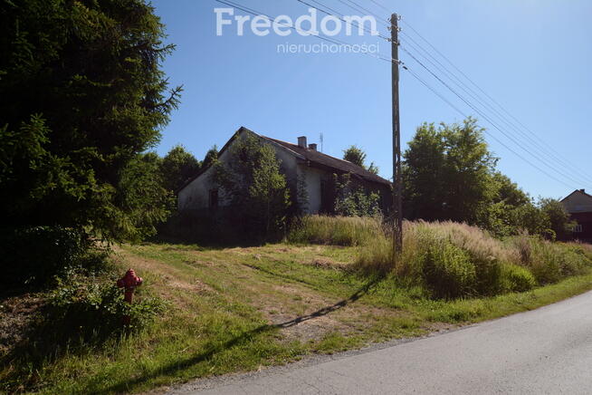 Działka ze starym domem w malowniczej okolicy