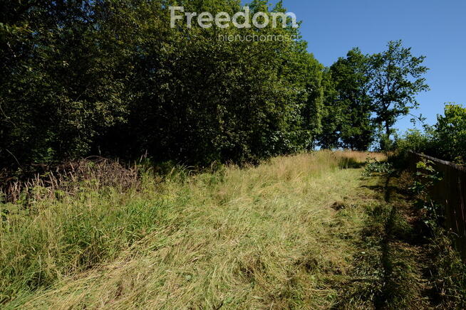 Działka ze starym domem w malowniczej okolicy