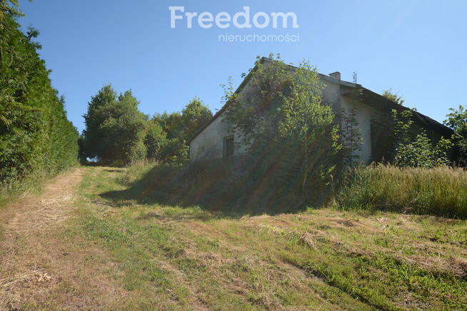 Działka ze starym domem w malowniczej okolicy