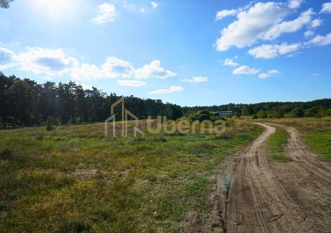 Działka przeznaczona pod produkcję, magazyny