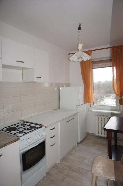 3 pok do wynajęcia na Staszica