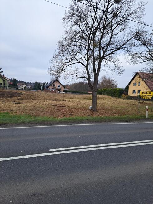 Dr. krajowa nr 10 73-210 Recz Promenada 2448 m²