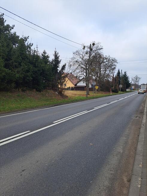 Dr. krajowa nr 10 73-210 Recz Promenada 2448 m²