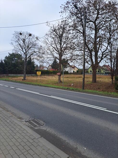 Dr. krajowa nr 10 73-210 Recz Promenada 2448 m²