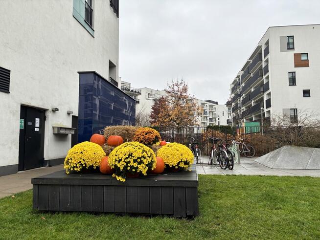 BEZPOŚREDNIO na wynajem, Żoliborz Artystyczny